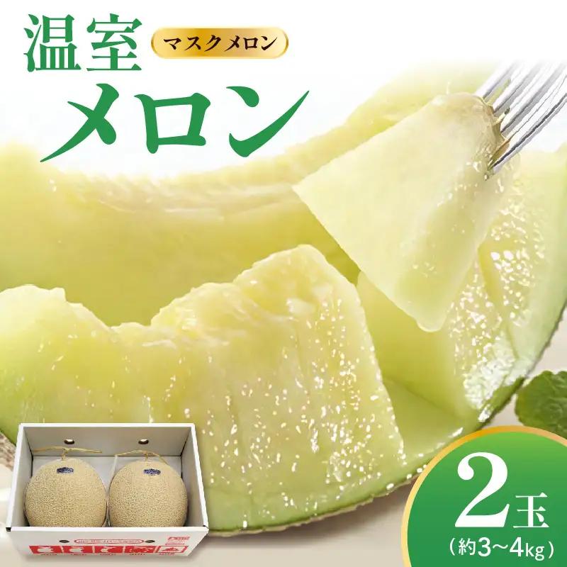 先行予約 令和8年産 温室メロン マスクメロン 2玉 約3～4kg