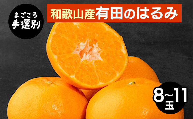 
            【まごころ手選別】和歌山産　有田のはるみ　8～11玉 ※2026年1月下旬～2月下旬頃より順次発送予定
          
