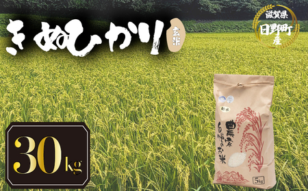 【先行予約】令和8年産 新米 きぬひかり 30kg 玄米 米 【KW021】 近江米
