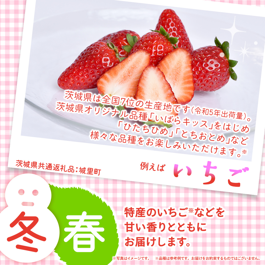 【定期便】フルーツセット（12回定期）（茨城県共通返礼品