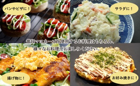 ノンオイル 豆乳 マヨネーズ 3個 セット コレステロールゼロ 卵不使用 7大 アレルゲンフリー アミノ酸不使用 低カロリー ベジタリアン ヴィーガン 豆乳マヨ 調味料 ヤマカ醤油 下関 山口  AJ