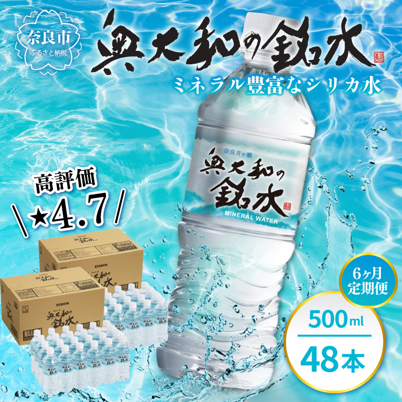 【定期便6ヶ月】奥大和の銘水　500ml×48本（1箱24本入り×2箱）×6ヶ月 水 美味しい水 月ヶ瀬の水 奥大和の銘水48本セット シリカ水 軟水 賞味期限2年 長期間保存可能 永伸商事株式会社 Q-13