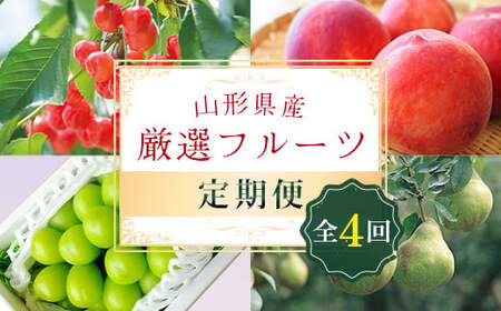 《先行予約 2026年6月発送開始》 山形県の至高！ 山形県厳選 フルーツ定期便 全4回 FSY-2315