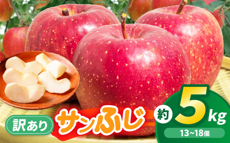 りんご 先行予約 伊那市田原産 リンゴ サンふじ 訳あり 約5kg 2026年11月中旬～発送【011-a3】