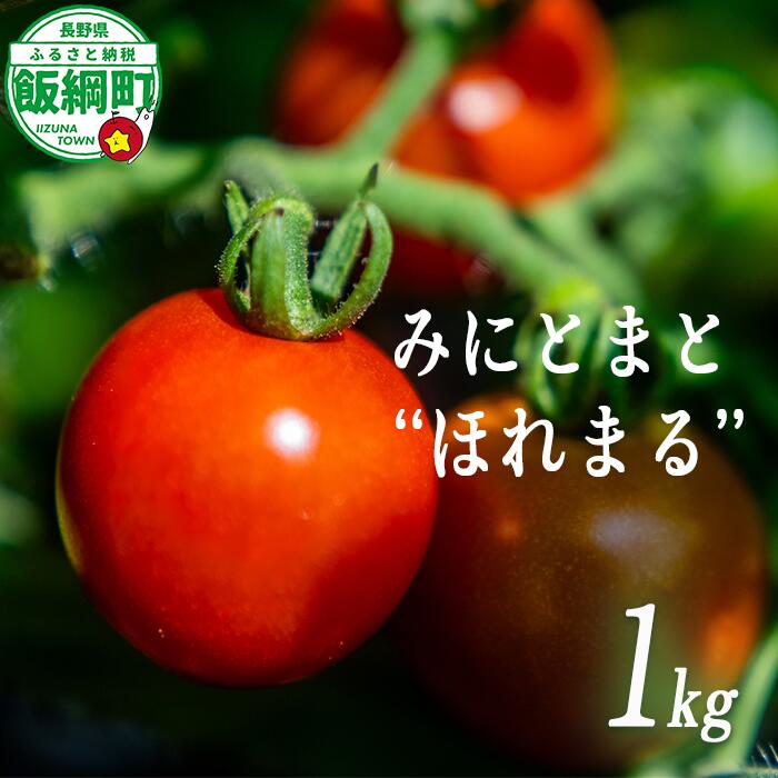【ふるさと納税】 ミニトマト ( ほれまる ) 1kg 株式会社みみずや 令和8年度収穫分 沖縄県への配送不可 長野県 飯綱町 〔 信州 野菜 トマト 産地直送 長野 14000円 〕発送時期：2026年8月上旬〜2026年9月上旬