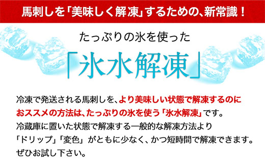 上赤身馬刺し100g×6セット 国産 熊本肥育 生食用 たれ付き(10ml×6袋) 100g×6セット 《3-7日以内に出荷予定(土日祝除く)》---300-5288---