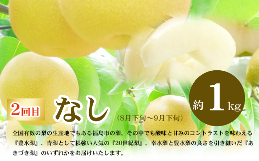 No.2867福島のフルーツ定期便３種【2025年発送】