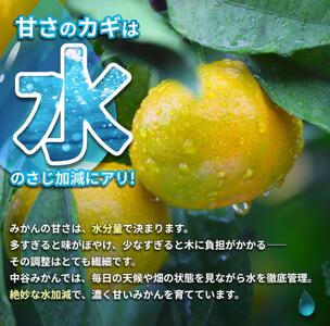 ゆら早生みかん 10kg 2S～2Lサイズ混合 ※2026年10月中旬頃～10月下旬頃に順次発送予定 【nktn003-r-10】 