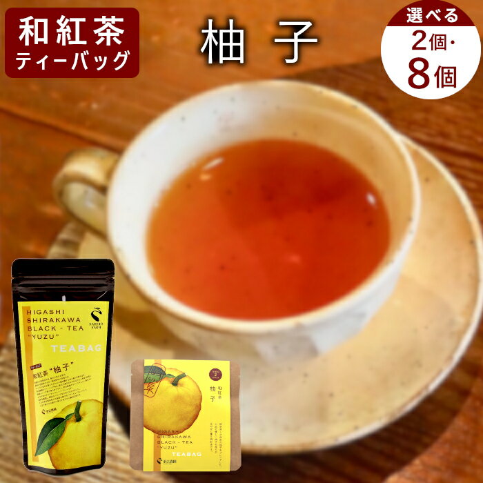 【ふるさと納税】【内容量選べる】 和紅茶ティーバッグ ゆず 2個 or 8個 or 8個×2袋 東白川村産 岐阜県産 特選 和紅茶 紅茶 柚子 ティーバッグ お茶 ティーバック ティーパック ホット アイス おためし