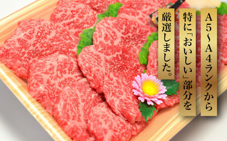 【全3回定期便】【化粧箱入】A5?A4ランク 博多和牛 厳選セット（計1150g）焼肉たれ・塩胡椒付《築上町》【株式会社マル五】[ABCJ117] おすすめ焼肉 定番焼肉 焼肉 和牛焼肉 博多和牛焼肉