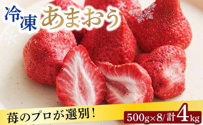 自然環境農法 福岡県産 冷凍あまおう 4kg|苺 いちご イチゴ 完熟 あかい まるい おおきい うまい フルーツ 果物 デザート 期間限定 産地直送 冷蔵 お取り寄せ グルメ 送料無料 福岡県 那珂川市
