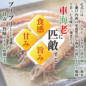 えび 1kg 足赤海老 えび