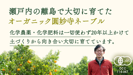 [1〜2月発送] オーガニック圓妙寺ネーブル 約4kg 国産 有機JAS認証 瀬戸内 広島 大崎上島 離島 有機栽培 柑橘 果物 オーガニック フルーツ ギフト 防腐剤不使用 ワックス不使用 無添加 