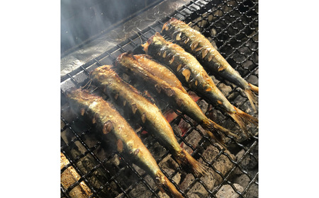 干物 伝統200年の味 焼いてあるひものセット 【炭火焼】 ４種 あじ かます さば いわし ヘルシー おつまみ  ひもの ヒモノ himono 江の島名産 湘南名物 酒の肴  相模湾 おつまみ 詰め