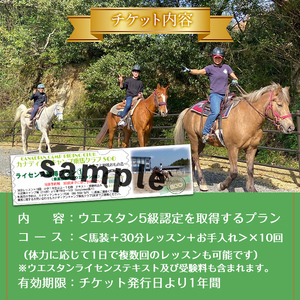 【 乗馬技能認定取得 チケット 】初心者向け ライセンス 取得 プラン (乗馬技能認定 ウエスタン5級) 30分レッスン×10回 小学1年生以上 ( 1名様・テキスト受験料込み) 体験 【曽於市観光協