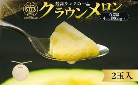 クラウンメロン 白等級 小玉 0.9kg～ 2玉詰 メロン 青肉 マスクメロン フルーツ 果物 青肉メロン 高級 高級メロン 静岡 森町