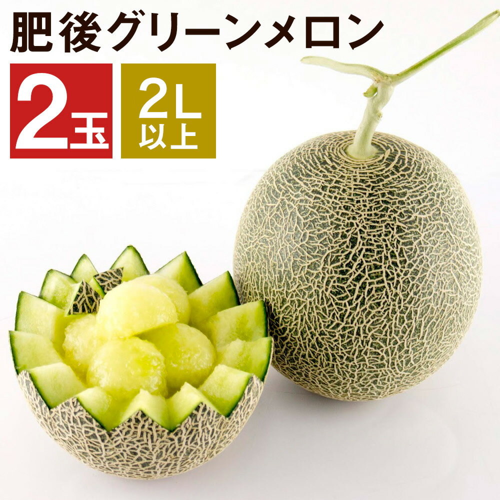 【ふるさと納税】肥後グリーンメロン 2玉 2L以上【メロンドーム】 メロン 果物 フルーツ 九州産 熊本県産 送料無料【2026年5月中旬より順次発送予定】【先行予約】