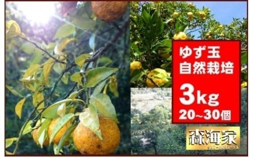 ＜先行予約！＞ゆず玉　3kgセット　期間限定 柑橘 ジューシー 自然栽培 国産 柚子　S164
