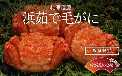 【数量限定】＜北海道産＞浜茹で毛がに【約500g×3尾】（網走加工） 【 毛蟹 毛ガニ 毛がに かに味噌 カニみそ 】 ABC017