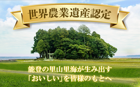 【先行予約】【新米】のと米（新米/精米10kg）【2025年10月以降順次発送予定】｜米 こしひかり コシヒカリ 能登 のと お米 令和7年産