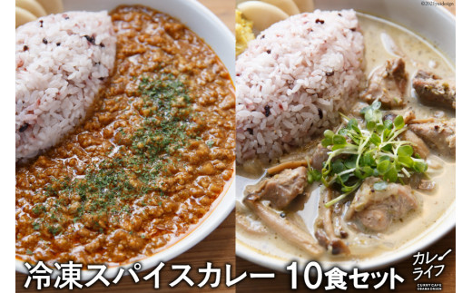 
冷凍スパイスカレー10食セット＜カレーライフ＞【長崎県雲仙市】
