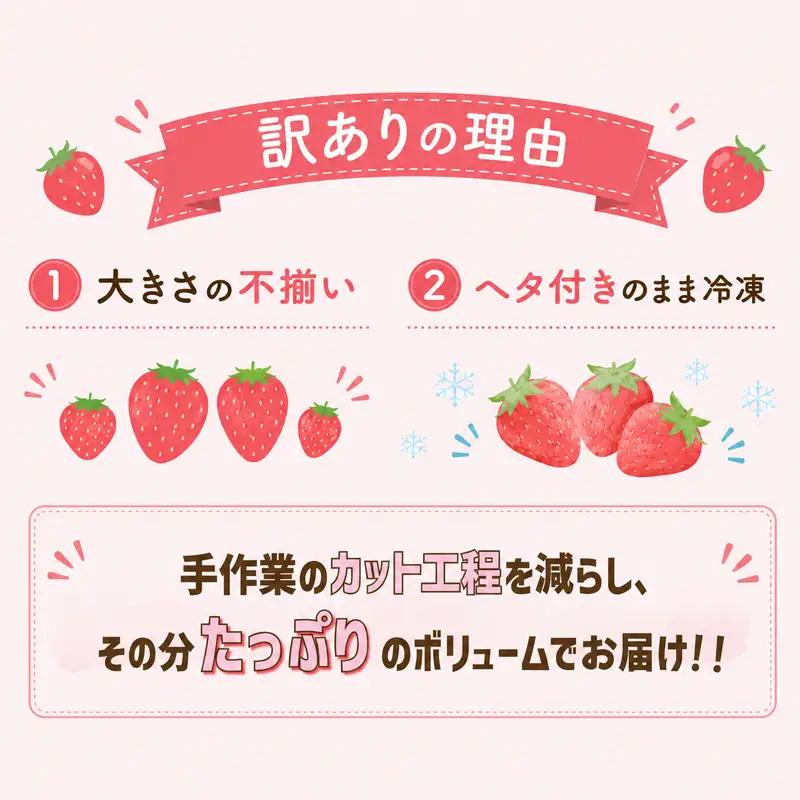 いちご 冷凍 訳あり 3kg いちご