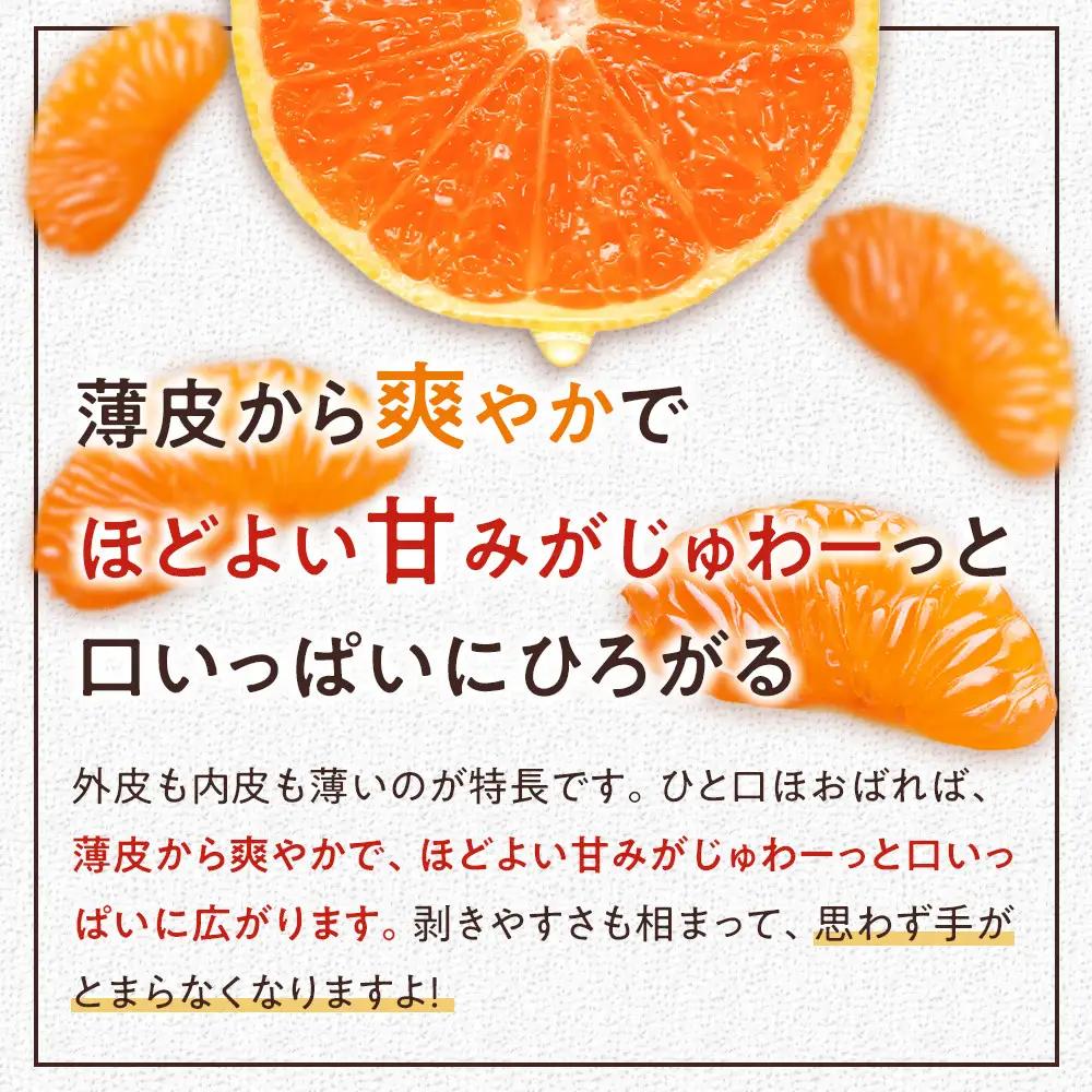 甘みと酸味のバランス抜群・宮川早生みかん　5kg(Mサイズ) 　2026年11月中旬～下旬頃に発送予定| 湯河原町 Mサイズ 5kg 果物 旬 柑橘系 宮川早生みかん