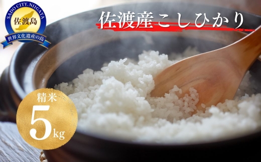 【すぐ発送！令和7年産】佐渡地区産コシヒカリ 精米5kg 単一原料米 産地指定米 | 新潟県産コシヒカリ 新潟産コシヒカリ 新潟コシヒカリ 佐渡産コシヒカリ 新潟県産こしひかり 佐渡産こしひかり お米 米 こしひかり 白米 精米 ブランド米 おこめ コメ 5キロ ギフト 贈答 内祝い にいがた さど 新潟県 佐渡市