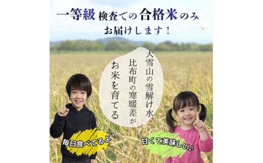 【令和8年産 新米受付】 ゆめぴりか 精米 10kg【農業生産法人ノウリエ】米 お米 北海道産 北海道米 特Aランク 国産 白米 コメ 北海道 比布町 ぴっぷ 1017-021