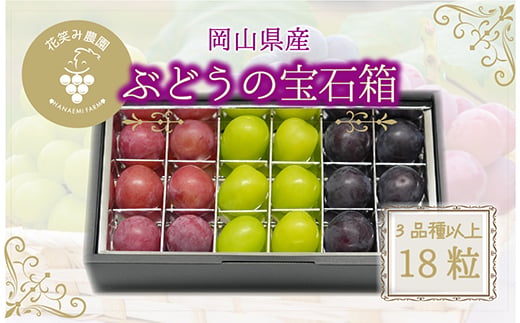
                  岡山　花笑み農園『ブドウの宝石箱』3種以上(18粒入り)　3M-宝18【1696016】
                