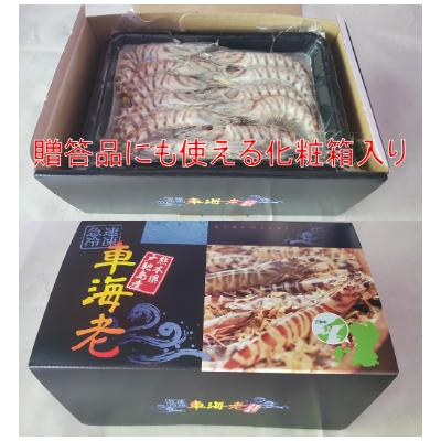 ふるさと納税 宇城市 【特殊冷凍】 車海老 250g (大サイズ厳選品)(6~8尾)水揚げ即真空パック&瞬間冷凍で鮮度抜群 |  | 03