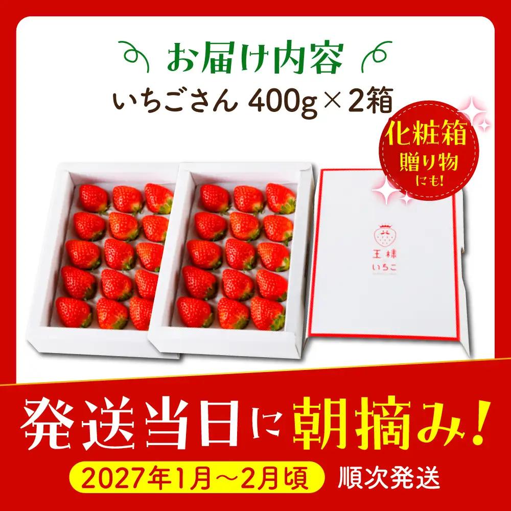 【先行予約】【1?2月発送】王様のいちご いちごさん400g×2箱 HAF009 果物 フルーツ