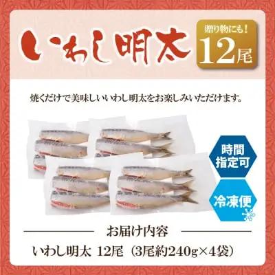 Y08-13 いわし明太 12尾 