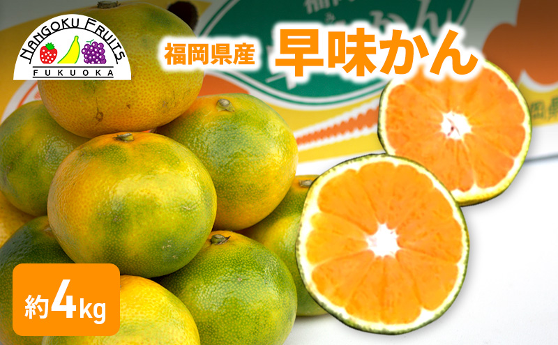 みかん 福岡ブランド みかん・早味かん 約4kg 柑橘 ミカン フルーツ 果物 ※配送不可:離島