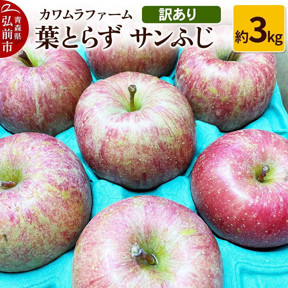 【ふるさと納税】りんご【先行受付】葉とらず サンふじ 約3kg カワムラファーム 訳あり