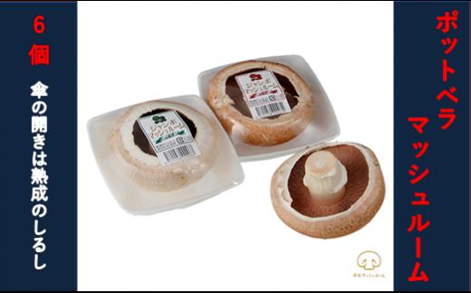 【舟形マッシュルーム】ポットベラマッシュルーム　6個