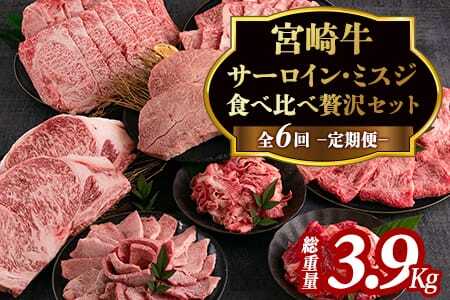 ＜【定期便全6回連続】宮崎牛の部位食べ比べ贅沢セット 総重量3.9kg＞【MI233-mk】【まきの屋】