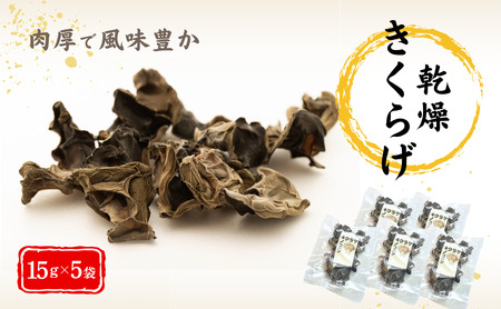 津久見産 肉厚 乾燥 きくらげ 15g×5袋 | 木耳 きくらげ 津久見市