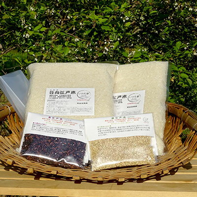 【ふるさと納税】〈精米方法が選べる〉完全自然米 5kg【白米・玄米・分搗き】＋古代米セット