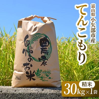 ふるさと納税 小矢部市 【新米先行受付(2026年11月上旬から順次発送)】令和8年産米「てんこもり」(精米)30kg×1袋