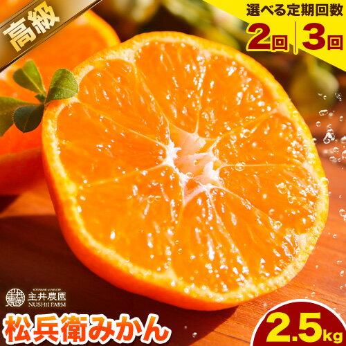 【ふるさと納税】選べる 主井農園 の 高級 松兵衛 みかん 約 2.5kg 定期便 2.5kg × 2回 または 2.5kg × 3回《11月中旬-2月上旬に発送予定(土日祝除く)》主井農園 和歌山 和歌山みかん みかん ミカン 蜜柑 柑橘 果物 フルーツ