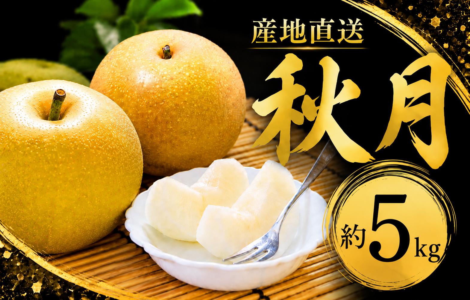 
                  梨 あきづき 約5kg  (約8～12玉）贈答用 茨城県産 梨産地 秋月 和梨 期間限定 果物 フルーツ デザート 新鮮  特産品 お取り寄せ グルメ 2026年 令和8年 新鮮 旬  筑西市 関東 
                