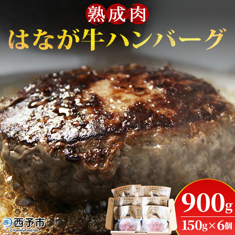 【ふるさと納税】＜熟成肉 はなが牛ハンバーグ 150g×6個 計900g＞ お肉 牛肉 ビーフ 牛100％ 肉加工品 お惣菜 洋食 おかず おつまみ お弁当 ランチ ディナー 国産 小分け 個包装 簡単調理 特産品 ゆうぼく 愛媛県 西予市 【冷凍】『2か月以内に順次出荷予定』
