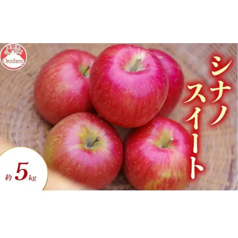 りんご シナノスイート 5kg りんご
