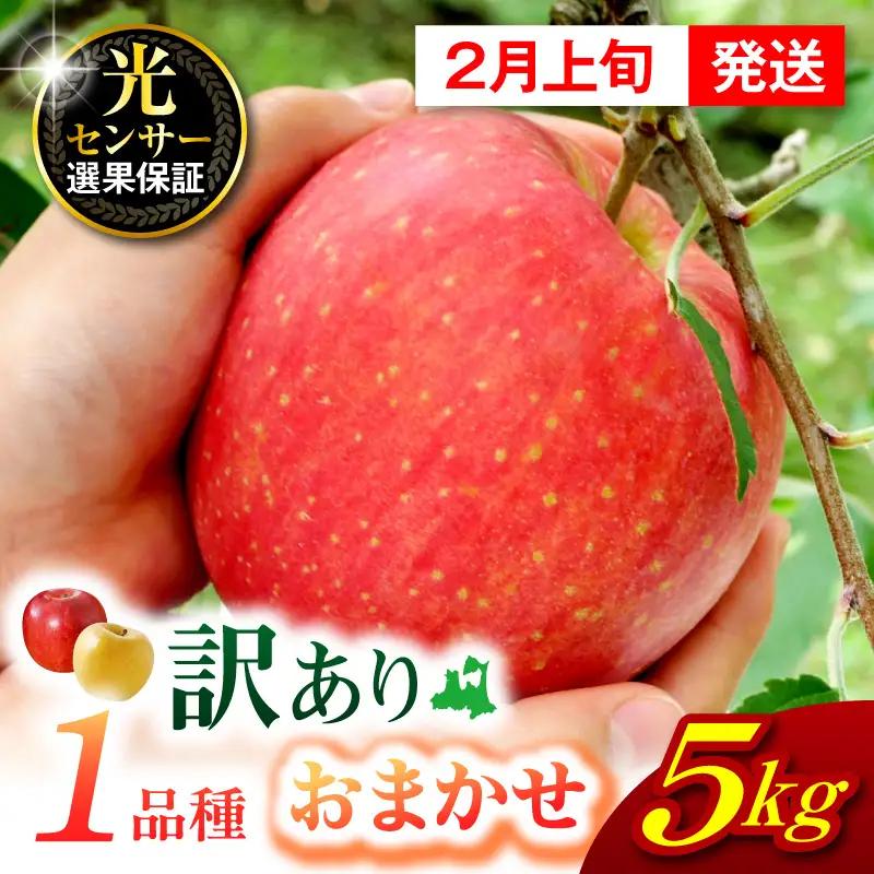 【2026年2月上旬発送】【訳あり】 旬の美味しい りんご 約 5kg 青森 産 【おまかせ1品種】
