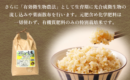 原さんちの玄米（ひとめぼれ） ４kg 玄米 ひとめぼれ 有機質肥料 特別栽培米 原農園 完熟堆肥 アートテン農法 抗酸化農法 有効微生物農法 光合成 体に良い 美味しい お米 安全 清潔 環境に優しい