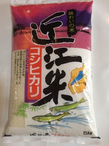 令和7年産 こしひかり 5kg 白米 【T019W3】 近江米 ご飯 精米 コシヒカリ