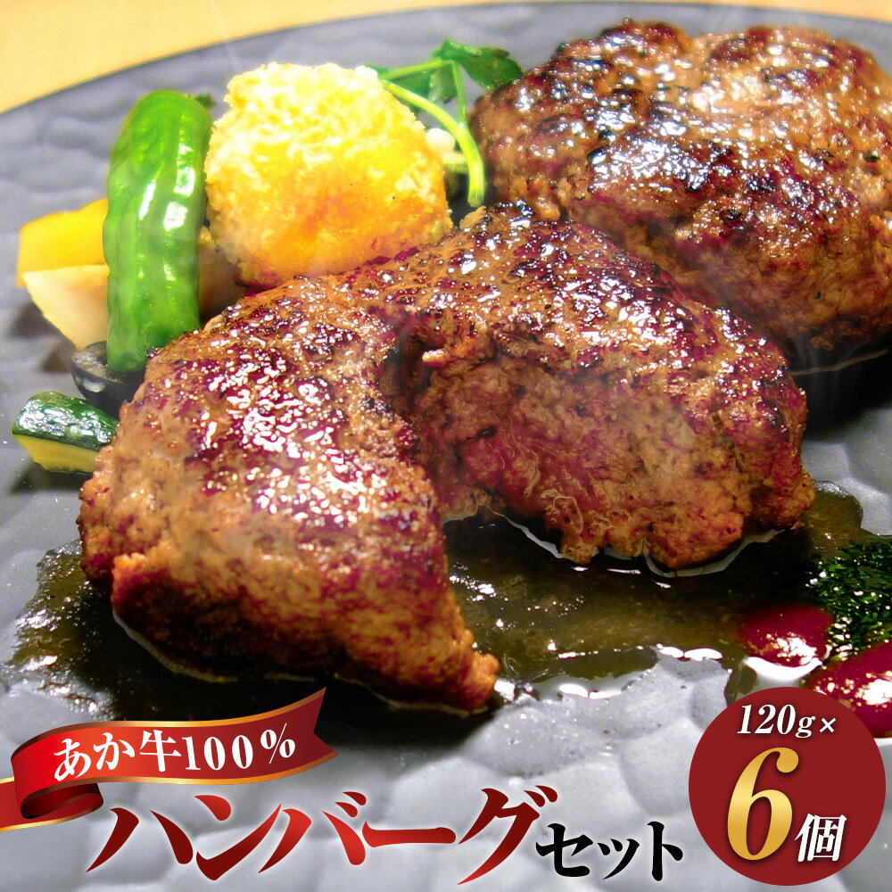 【ふるさと納税】あか牛100％ハンバーグセット 計720g（120g×6個） 牛肉 お肉 和牛 褐毛和種 惣菜 ギフト 贈答 冷凍 熊本県産 国産 九州 熊本県 水上村 送料無料