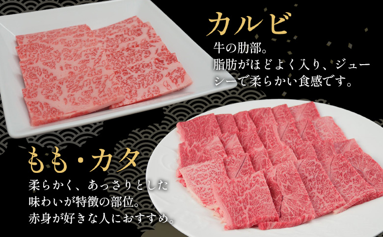 飛騨牛 BBQセット 計700g (カルビ300g＋もも・カタ焼肉用400g) A5 A4 国産 牛 冷凍 和牛 牛肉 カルビ もも モモ カタ 肩 かた 豪華 ギフト 贈答  にく お肉 肉 東白川