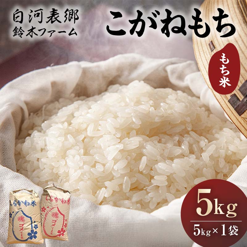 【ふるさと納税】令和7年産米 白河表郷 こがねもち もち米 5kg 米 コメ ごはん ご飯 食品 F24R-203